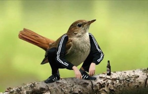 82. Гибридная поэзия, том 2