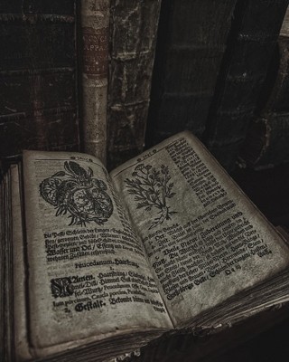 Приметы Дамочек с Метлой и долгим взглядом