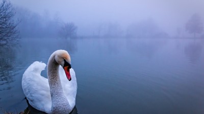 041ф-ок. Поэзия.