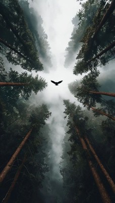 Лиловый Глаз Чертополоха