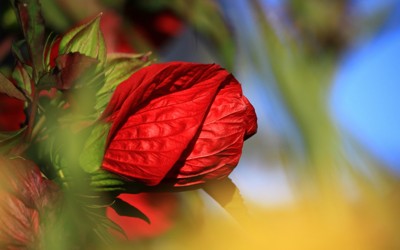 652ф-ок. Близится Пасха. 652ф-ок. Близится Пасха.