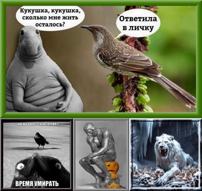 Когда бы снегирей хватало