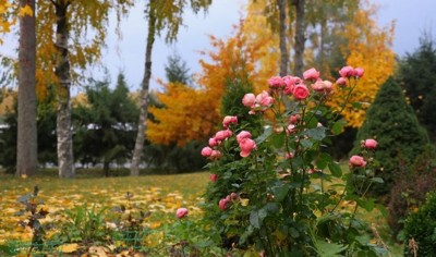 Ноябрь в Анапе Ноябрь в Анапе