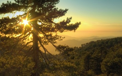 057ф-ок. Проснитесь.