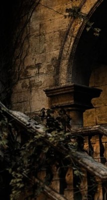 Окном на Запад и Туман
