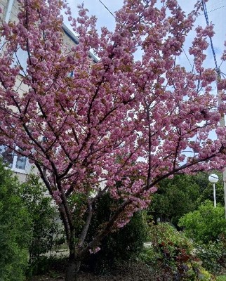 Весна согреет