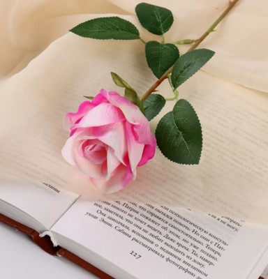 Проза и роза