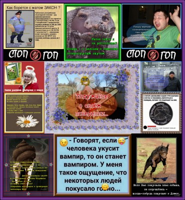 Эстет в законе