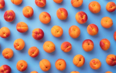 671ф-ок. Филости-06 (21-24).