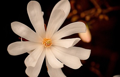 152ф-ок. Письмо девочки.