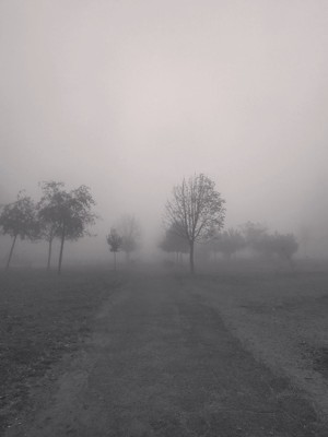 LXII. Любовь подобна страждущим туманам