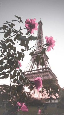 Лямур, Гламур и Пассатижи