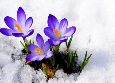 Февраль Февраль