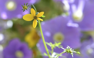 157ф-ок. Весна - в стиле РЭП. 157ф-ок. Весна - в стиле РЭП.